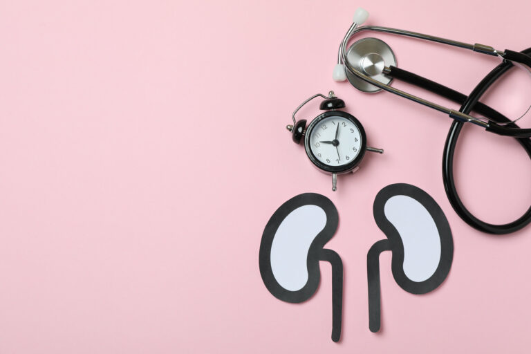 nieren-gesundheit.jpg Papierfiguren von Nieren auf einem rosa Hintergrund, daneben eine Armbanduhr und ein Stethoskop.